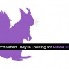 The job search when they're looking for unicorns & purple squirrels